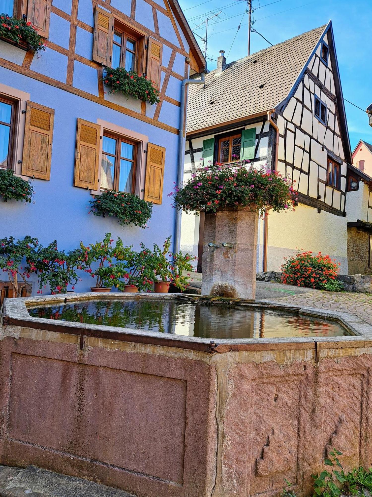 Grand Dans Maison Alsacienne Historique * Gueberschwihr