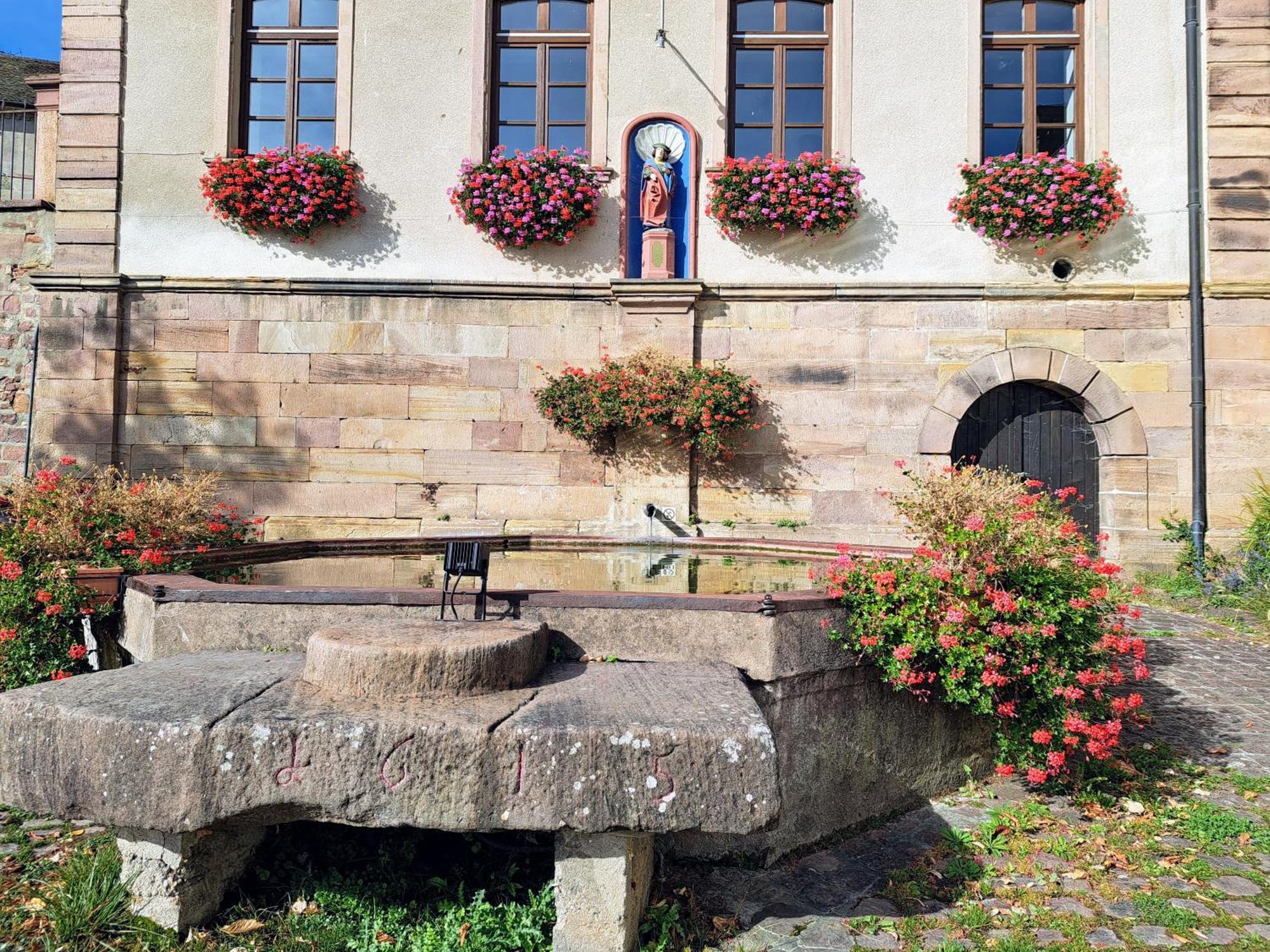 Grand Dans Maison Alsacienne Historique
